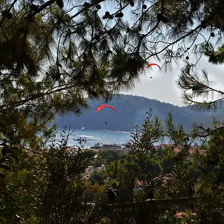 Отель Symbola 3*