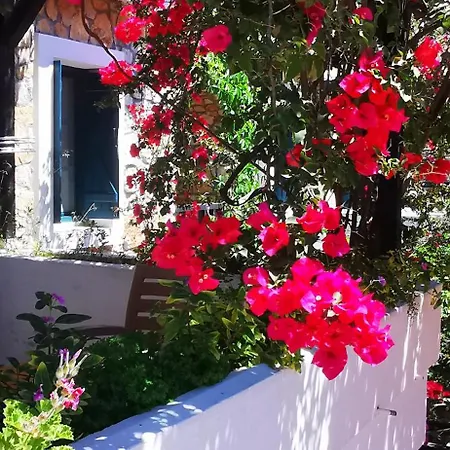 Hotel Symbola