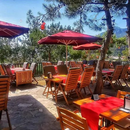 Hotel Symbola 3*