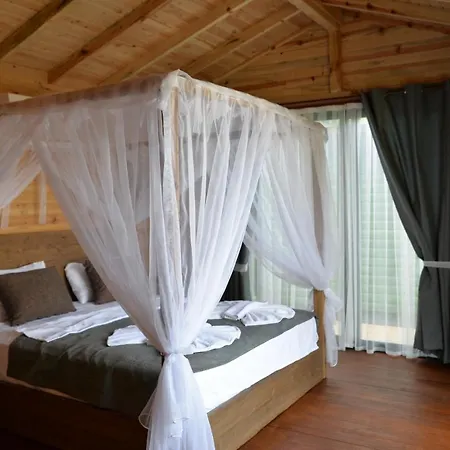 辛博拉奥露德尼兹海滩酒店 酒店