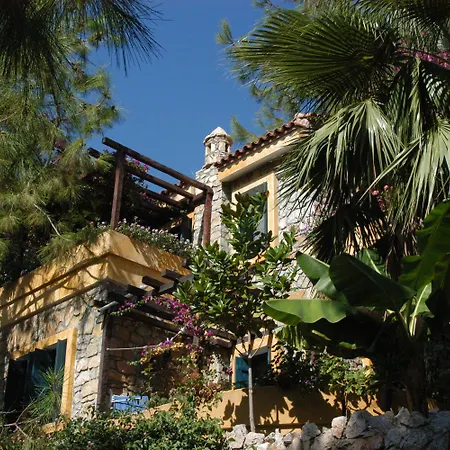 辛博拉奥露德尼兹海滩酒店 3*