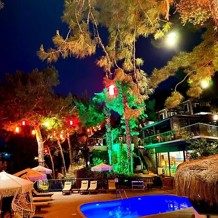 辛博拉奥露德尼兹海滩酒店