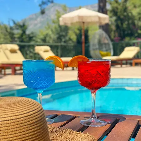 辛博拉奥露德尼兹海滩酒店 厄吕代尼兹