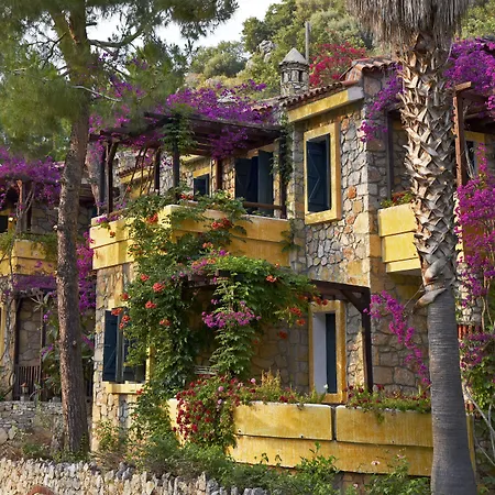 酒店 辛博拉奥露德尼兹海滩酒店 3*