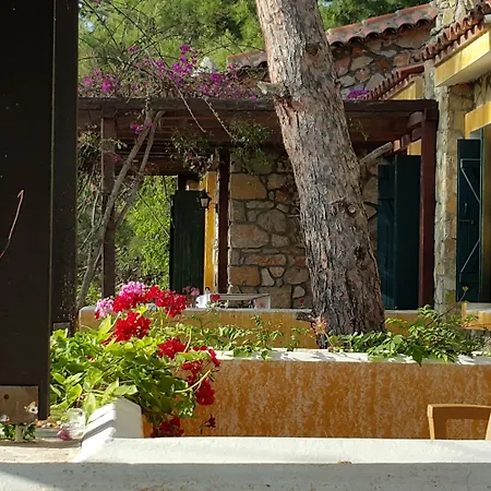 辛博拉奥露德尼兹海滩酒店 3*