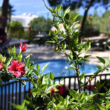 酒店 辛博拉奥露德尼兹海滩酒店 厄吕代尼兹