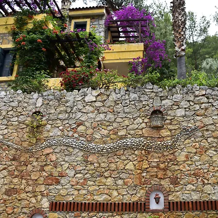 辛博拉奥露德尼兹海滩酒店 酒店