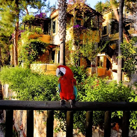 辛博拉奥露德尼兹海滩酒店 厄吕代尼兹