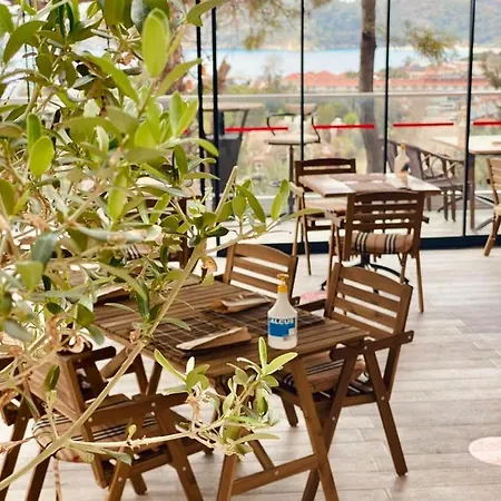 Hotel Symbola 3*