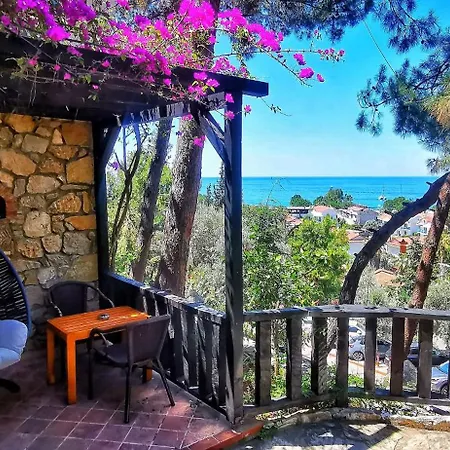 Hotel Symbola 3*